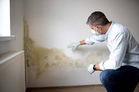 Environmental Consulting for Mold Prevention in Pahokee, FL